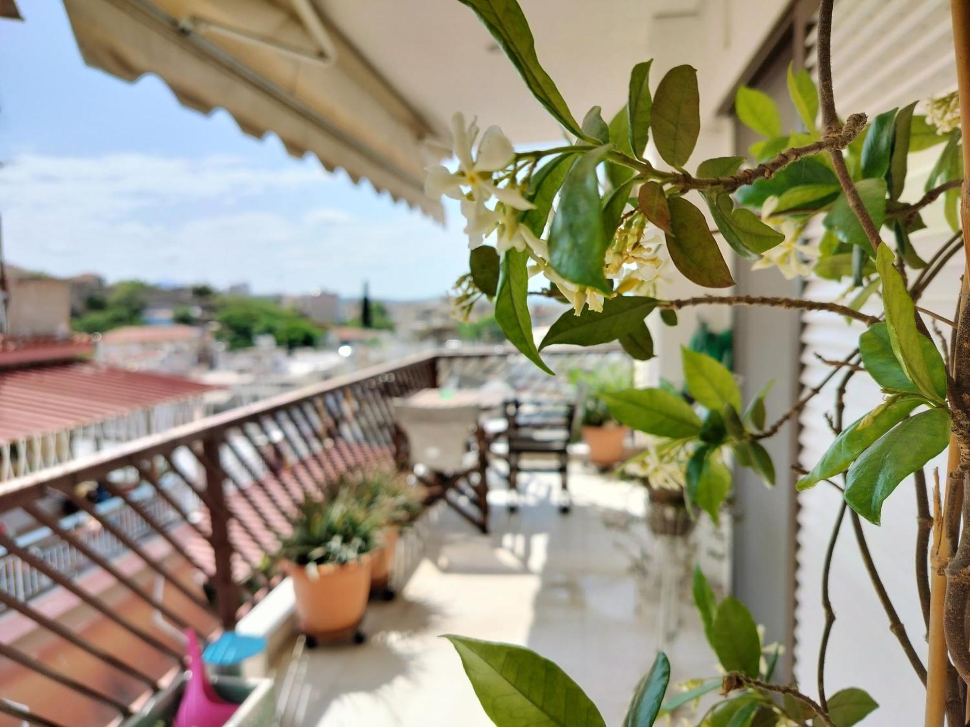 Castleview 2Br Welcome Stay Spacious Lux Apartment 塞萨洛尼基 外观 照片